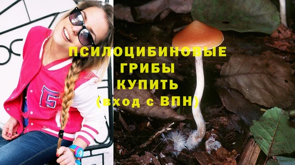 ПСИЛОЦИБИНОВЫЕ ГРИБЫ Медвежьегорск