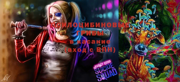 PSILOCYBIN Михайловск