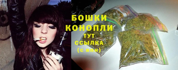 МДПВ Михайлов