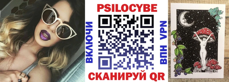 OMG как войти  Киржач  Галлюциногенные грибы Magic Shrooms 